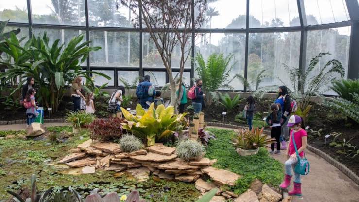 Qué hacer en el Jardín Botánico de Bogotá: una experiencia que también se disfruta alrededor de la mesa